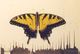 Winged Things - flying Akimbo -
Play in the lower Boxes of my Window -
Apprentices of Air - continue -
Snow falls for Summer - in Indigo.

A Speckled - winged thing -
Landed upon my Pane -
She said Hello - and said Goodbye -
But whispered other Things - beside.

VSN
9.2.00